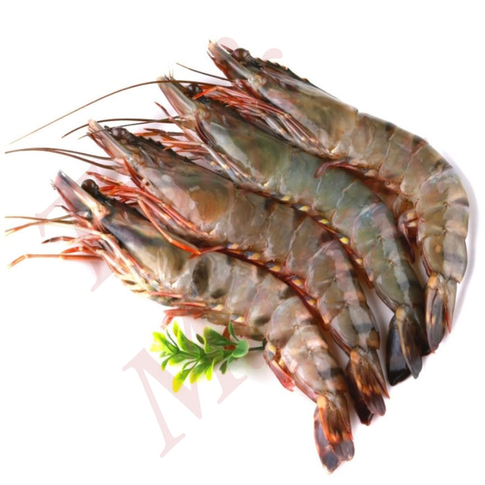 FROZEN RAW BLACK TIGER PRAWN HOSO (HEAD ON & SHELL ON) 6/8 (1KG)