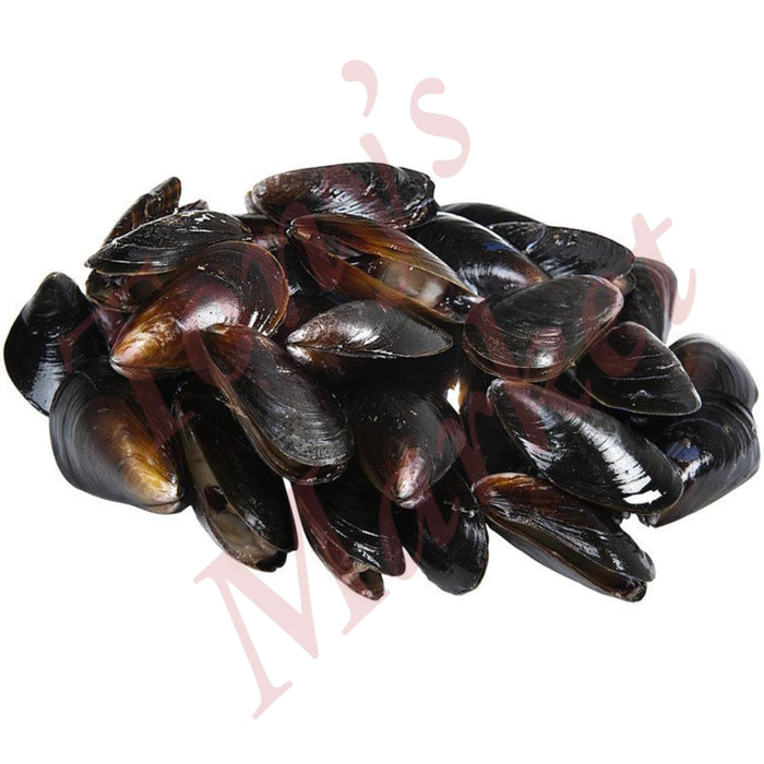 Fresh Mussel 新鲜 青口/海虹 1kg/Bag 袋