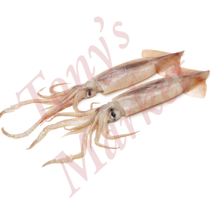 Fresh Frozen Squid (~ 400g/Each只 ) 冰鲜 鱿鱼 *Weighing by Actual Weight* €8.90=500g【按实体重量计