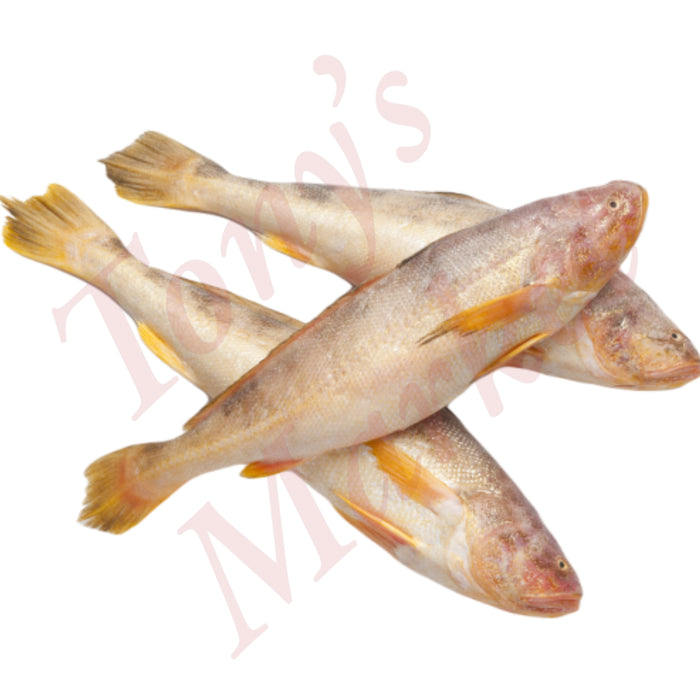 JONA BUTTERFISH G&S PANREADY 300-800g 1 KG