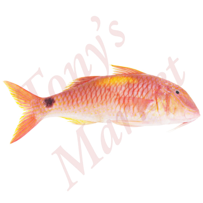 JONA RED MULLET INDIAN WR *Weighing by Actual Weight* IQF 1-2kg/Piece (€6.90/kg)【按实体重量计】