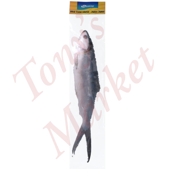 FROZEN WHOLE ROUND MILKFISH   600-800g/Each 牛奶鱼 *Weighing by Actual Weight* 500g=€7.00【按实体重量计】