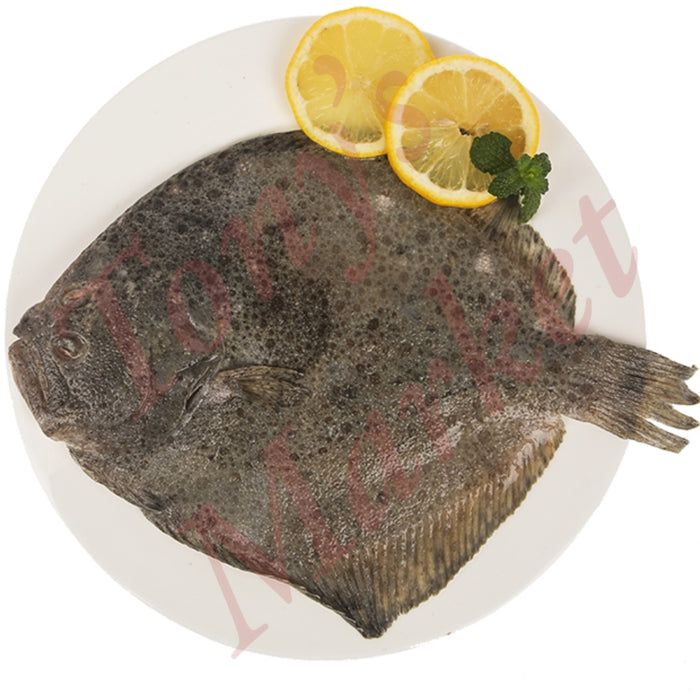 Fresh Turbot 600-800g/Each 多宝鱼 *Weighing by Actual Weight* 500g=€11.00【按实体重量计】