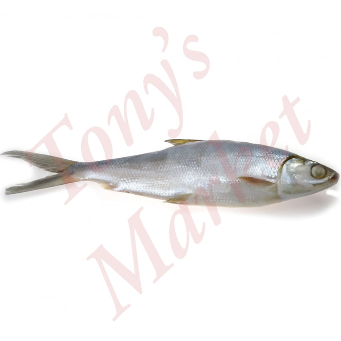 WOLE MILKFISH *Weighing by Actual Weight* IQF 500-800g/Piece (€8.90/kg)【按实体重量计】