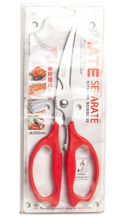 Japanese Scissors - 6089621