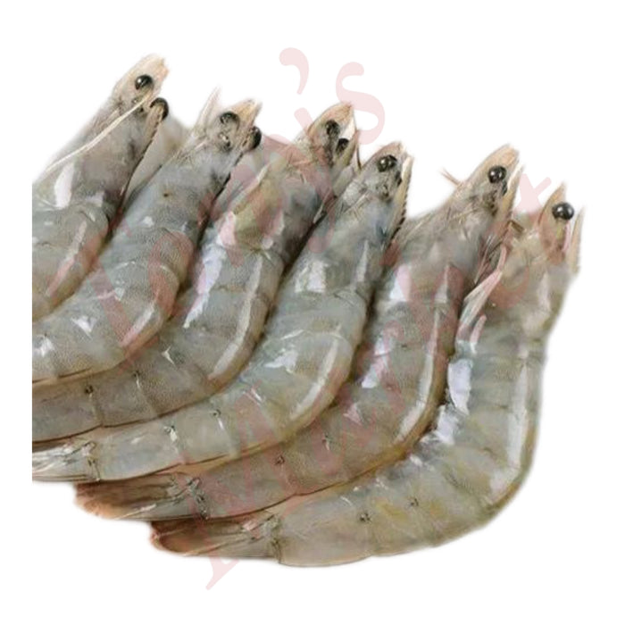 PREMIUM FROZEN HEAD-ON SHELL-ON VANNAMEI WHITE SHRIMP 30/40 1kg