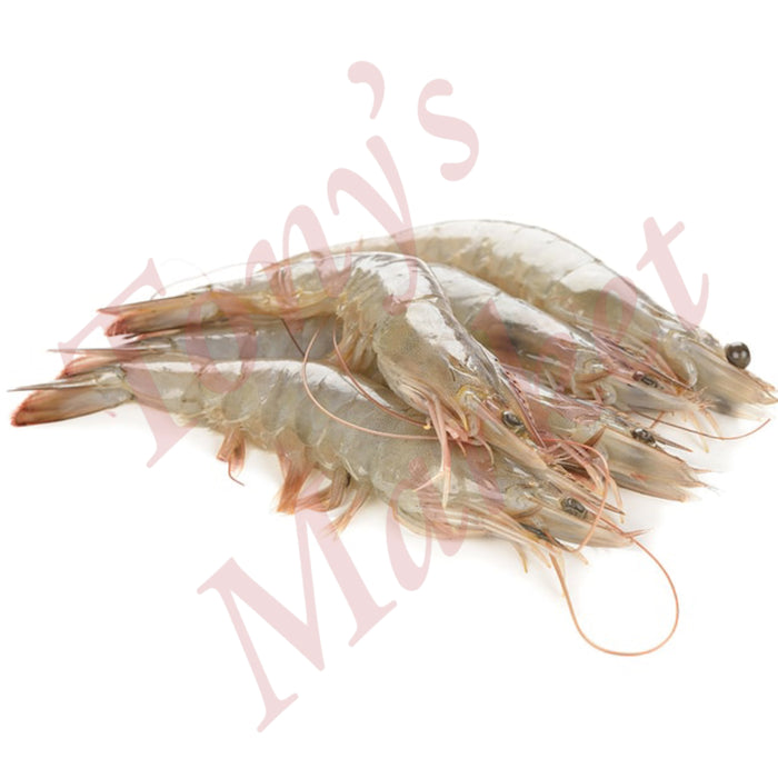 Fresh White Shrimp 30/40 新鲜 火锅虾 *Weighing by Actual Weight* €7.50=500g【按实体重量计】