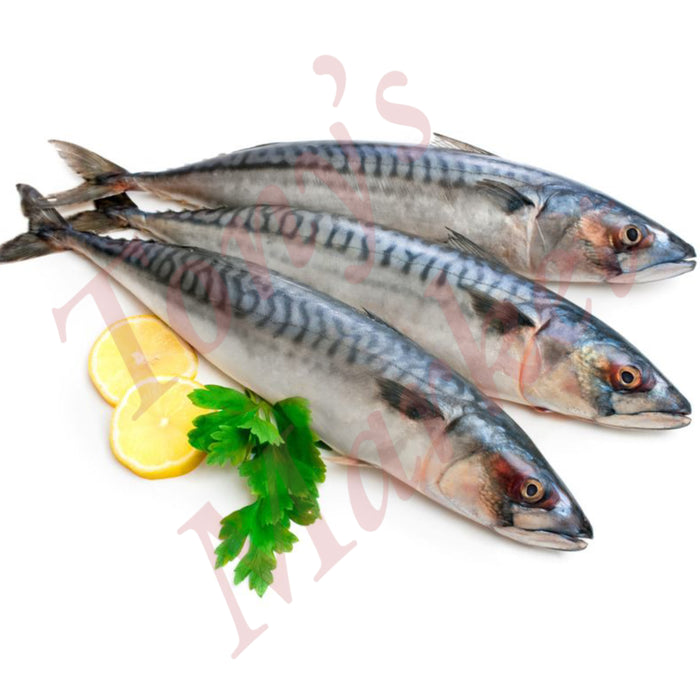 Fresh Mackerel 3-4 Pieces 只 / 冰鲜 鲅鱼 *Weighing by Actual Weight* 1kg=€6.80【按实体重量计】