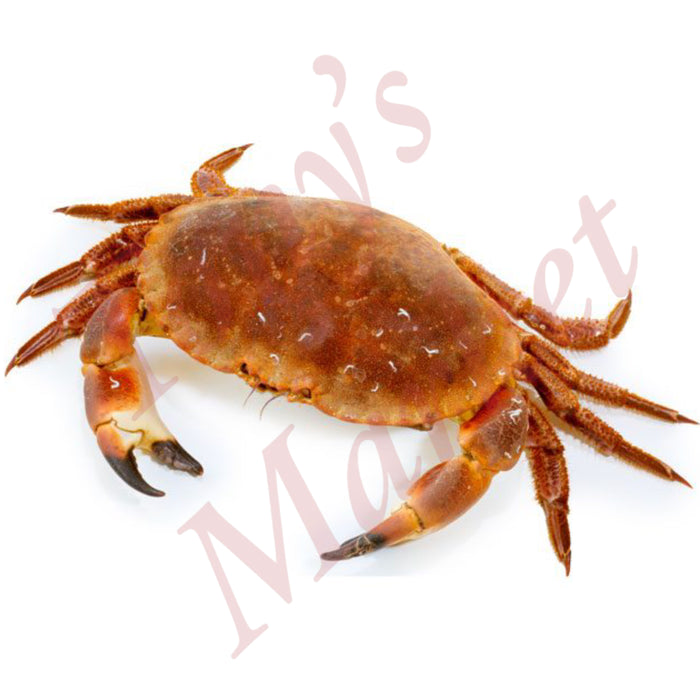 Fresh Crab 新鲜 面包蟹/大螃蟹 *Weighing by Actual Weight* €2.00=500g【按实体重量计】