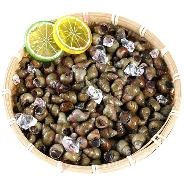 Fresh Winkles  新鲜 田螺 *Weighing by Actual Weight* €8.80=1kg【按实体重量计】