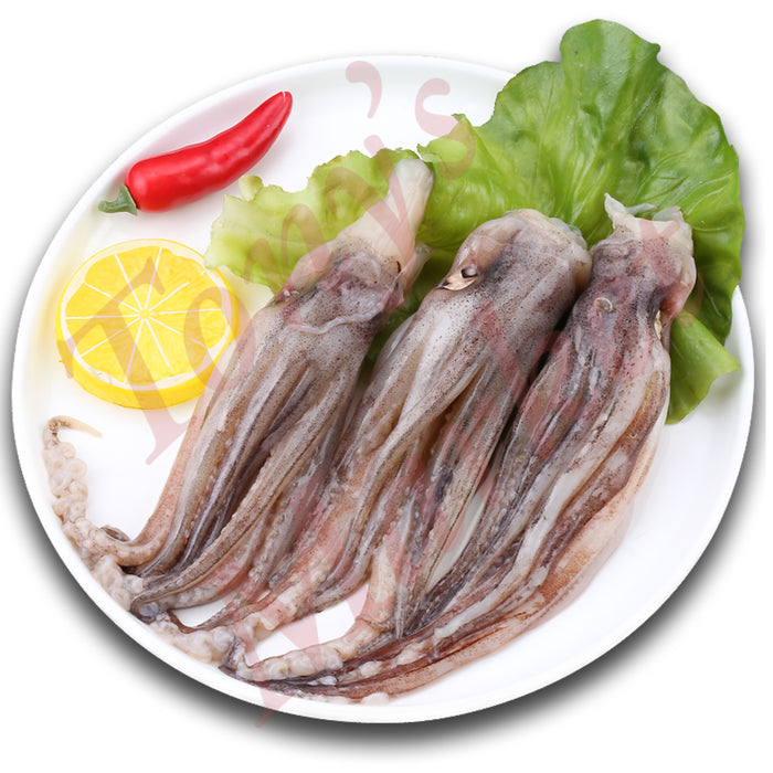 Fresh Squid Head 冰鲜 鱿鱼头 500g