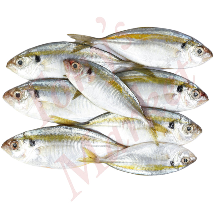 CHOOPERAI/YELLOWSTRIPE TREVALLY 30/40 1kg