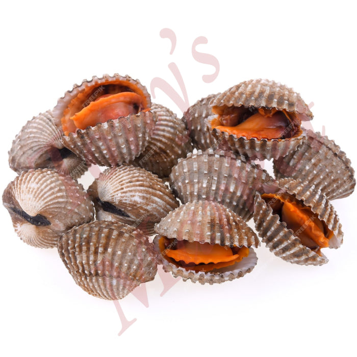 Fresh Cockles  新鲜 血蚶 *Weighing by Actual Weight* €2.50=500g【按实体重量计】