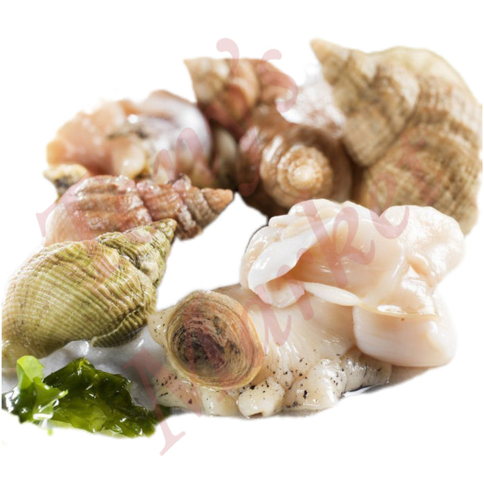 Fresh Whelk  新鲜 海螺 *Weighing by Actual Weight* €2.50=500g【按实体重量计】