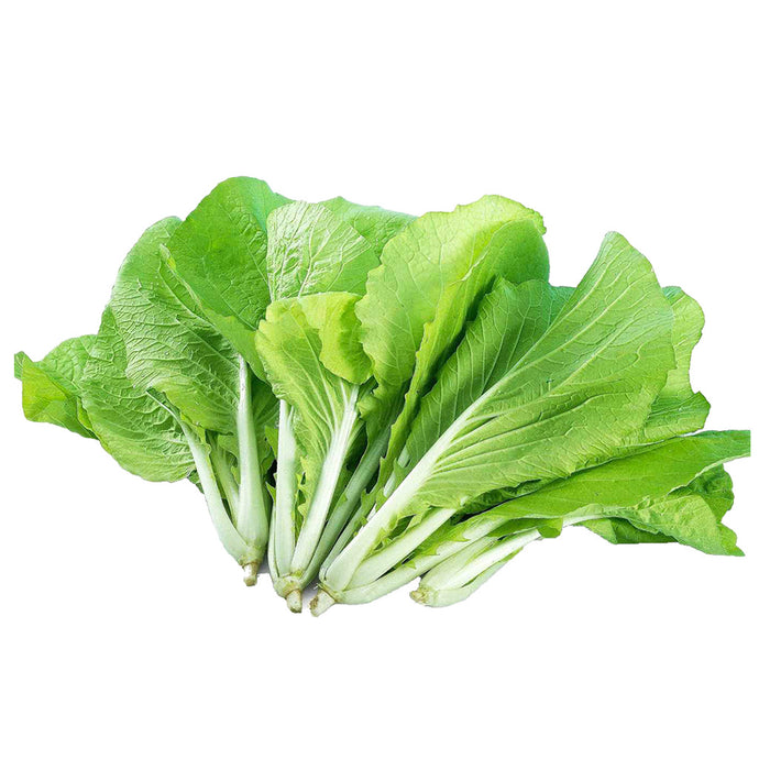 Fresh Mini Pak Choi/Pack (新鲜小白菜/袋) 500g=€4.00