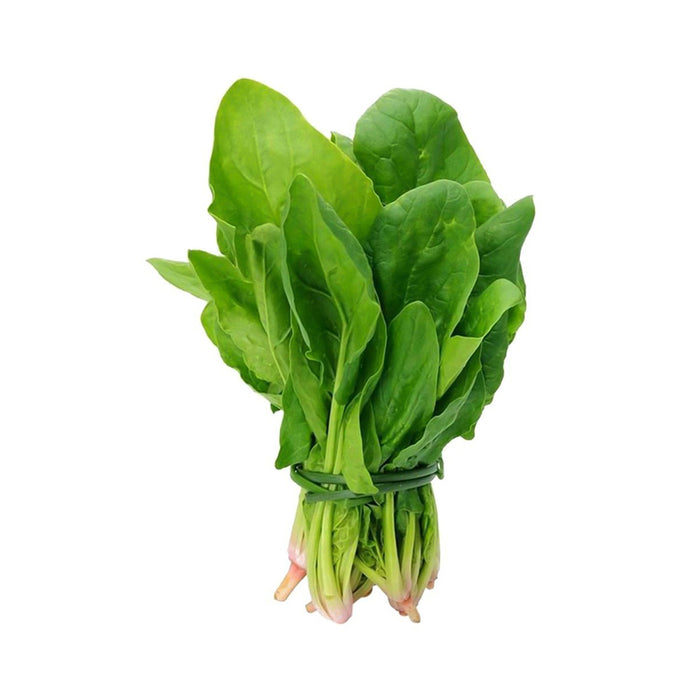 Fresh Spinach/Pack (新鲜菠菜/袋) 500g=€4.00