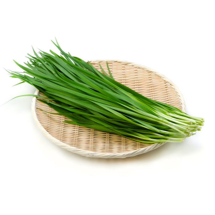 Fresh Thai Chives/Pack (新鲜泰国韭菜/袋) 100g