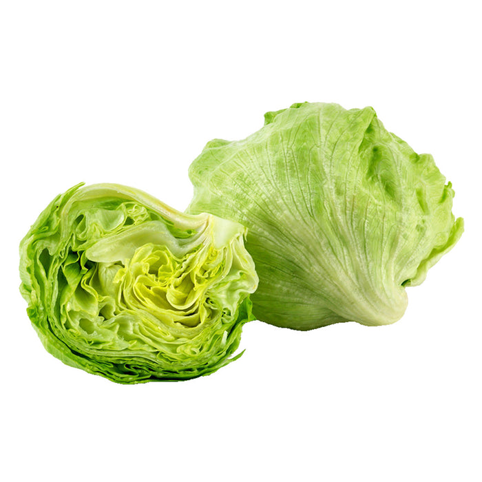 Fresh Lettuce/Each (新鲜生菜/颗)