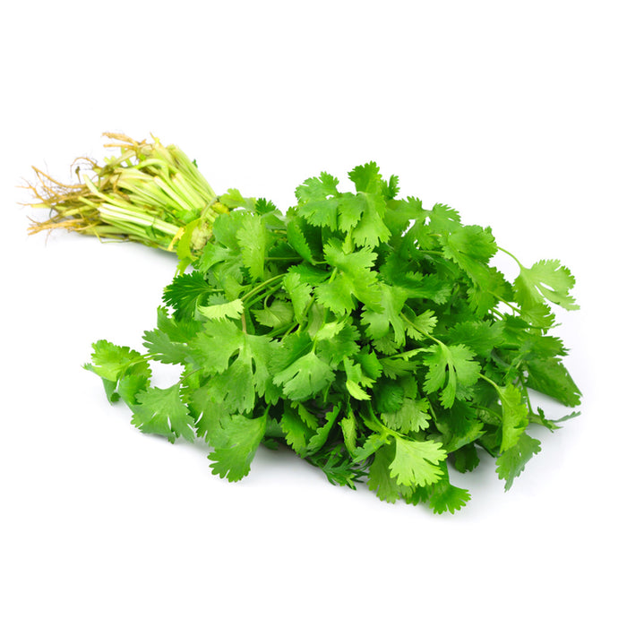 Fresh Coriander/Bunch (新鲜香菜/捆)