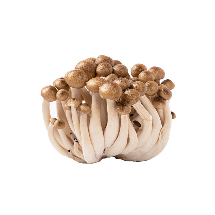 Fresh Brown Shimeji Mushroom/Pack (新鲜蟹味菇/包）