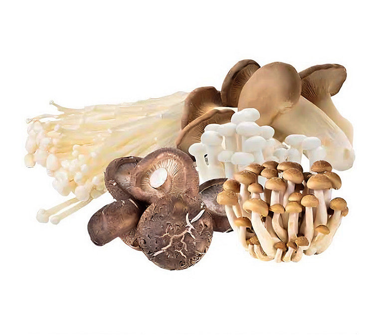 Fresh Mix Mushrooms/Box (新鲜什锦菇/盒) 400g