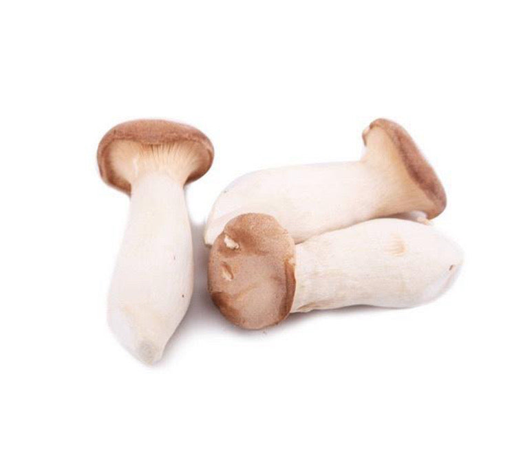 Fresh Chicken Leg Mushroom/Pack (新鲜鸡腿菇/包) 200g