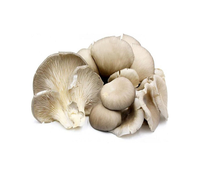 Fresh Oyster Mushroom (新鲜鲜蘑菇) 200g