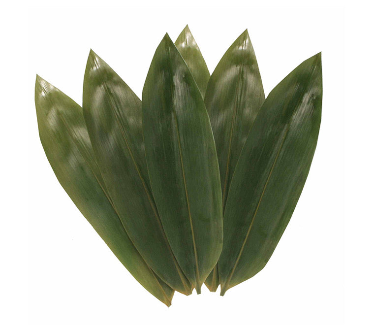 Fresh Lucky Bamboo Leaves/Pack