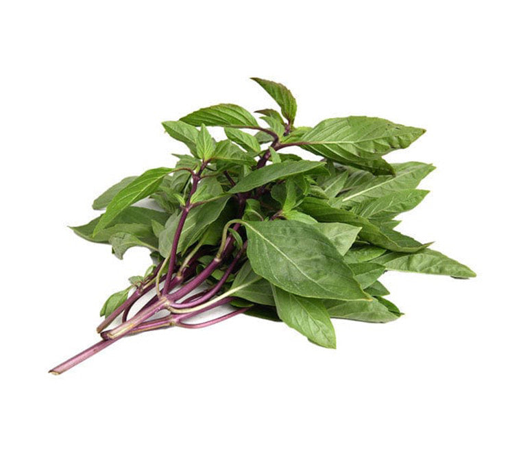 Fresh Thai Holy Basil/Pack