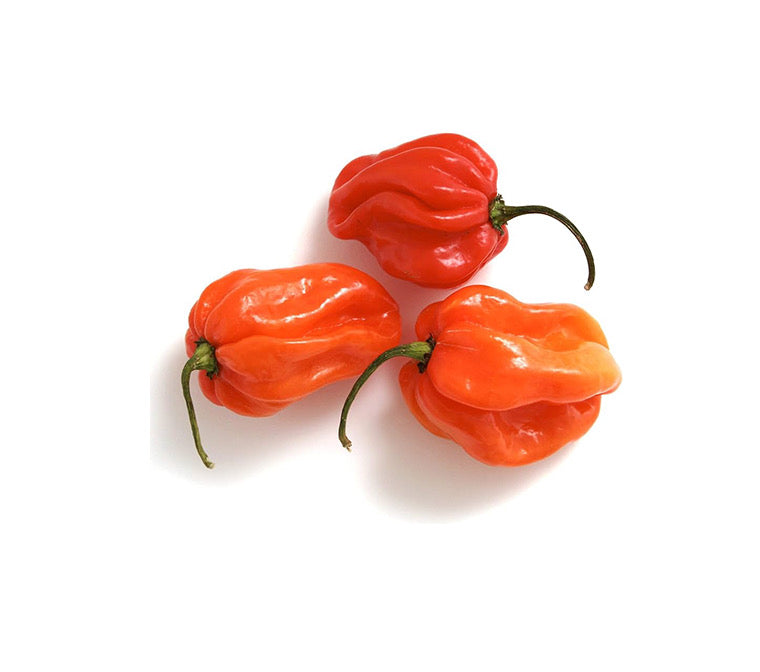 Fresh Hot Pepper/Pack 100g