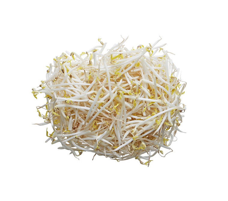 Fresh Bean Sprout/Pack (新鲜豆芽/包) 450g