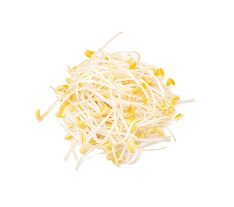 Fresh Soya Bean Sprout/Pack (新鲜黄豆芽/包) 500g=3.50